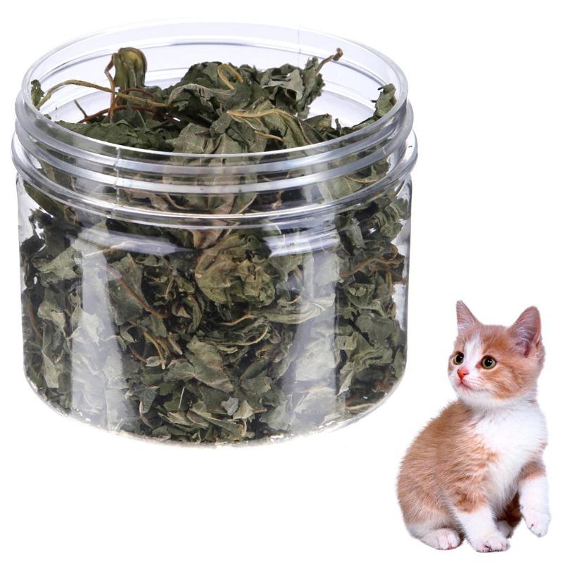 300 ML Gato Natural Catnip Hojas de menta Hierba Sabor Mentol Juguetes para Gato Gatito Productos para el Cuidado de la Salud Suministros para Mascotas